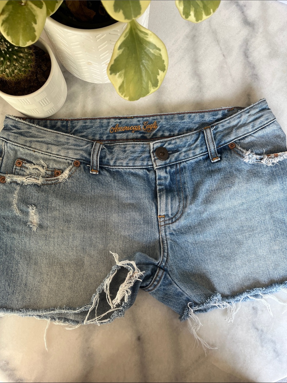 American Eagle Outfitters Light Blue Distressed Jean Shorts